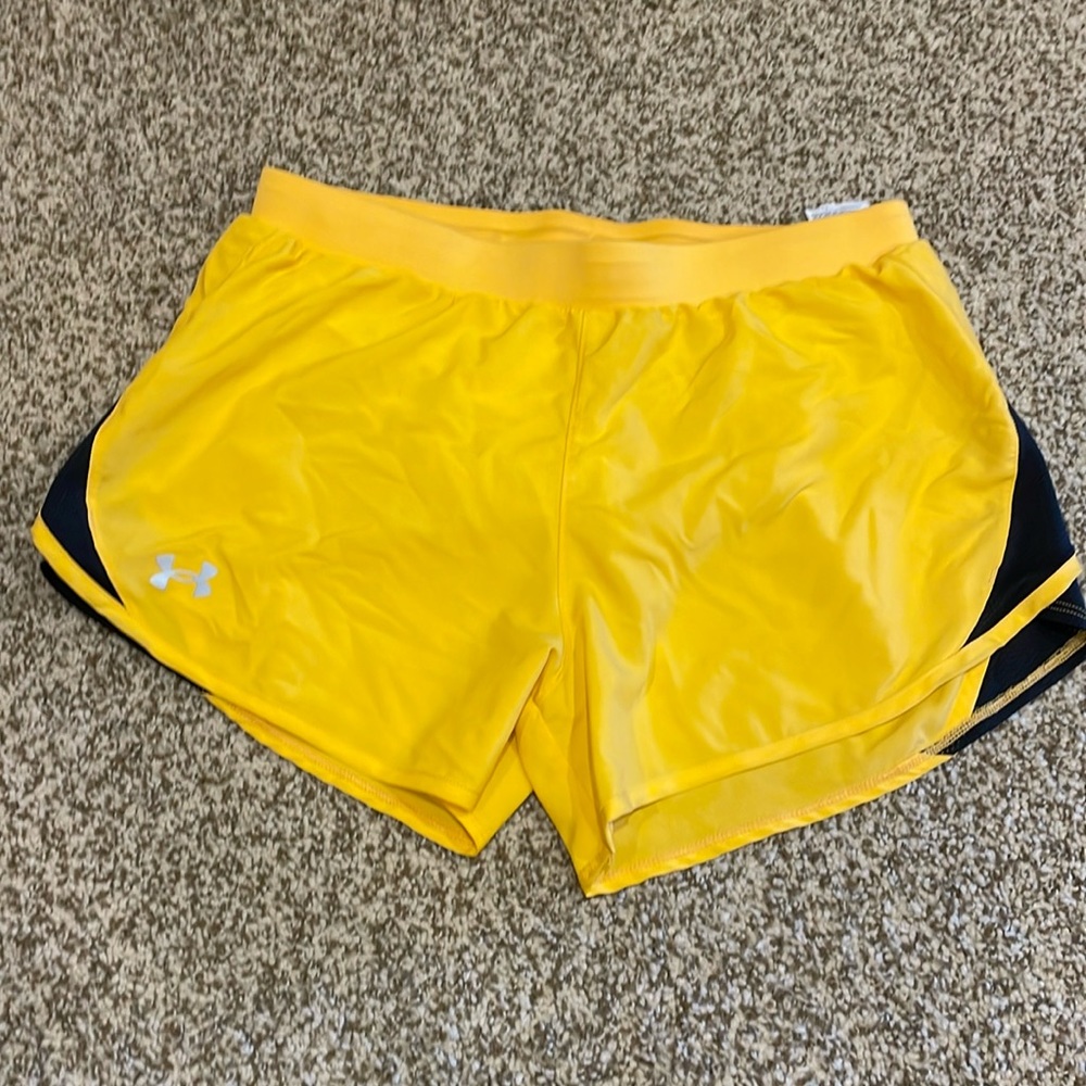 Under Armour Heat Gear shorts